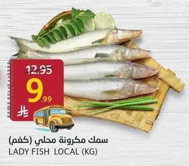 سمك مكرونة محلي