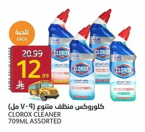 كلوروكس منظف متنوع