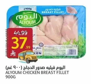 اليوم فيليه صدور دجاج
