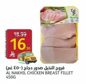 Chicken Breast Fillet