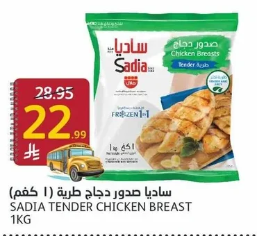 ساديا صدور دجاج طرية