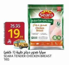 سيارا صدور دجاج طرية