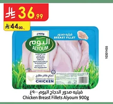 فيليه صدور الدجاج اليوم