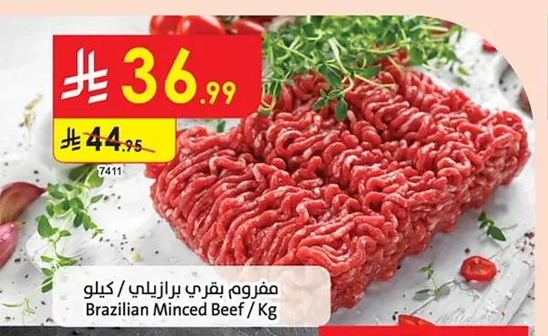 دجاج اليوم
