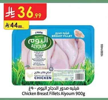 Chicken Breast Fillets