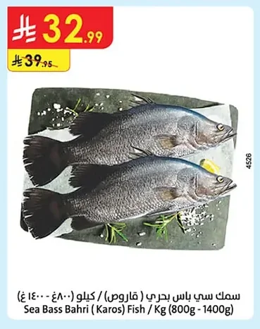 Sea Bass Bahri (Karos) Fish