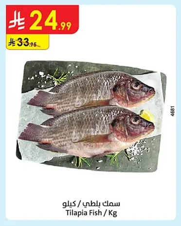 Tilapia Fish