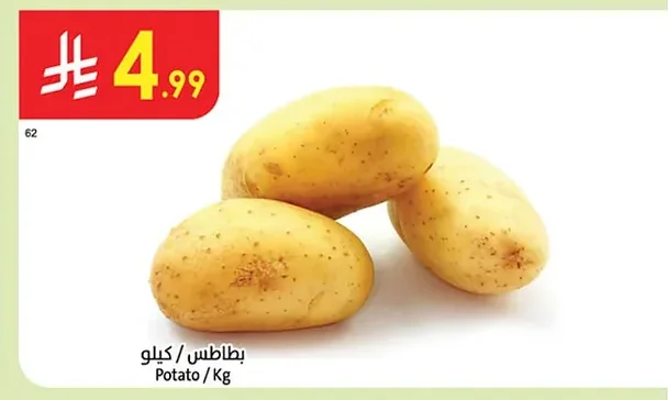 بطاطس