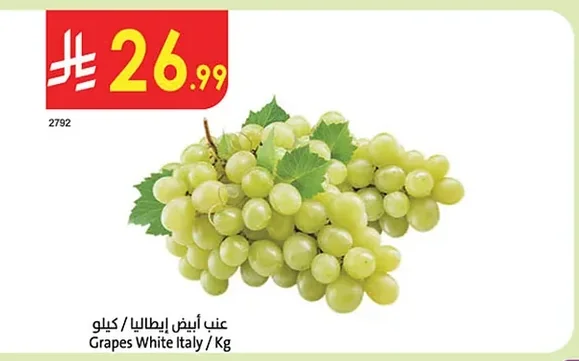 عنب أبيض إيطاليا
