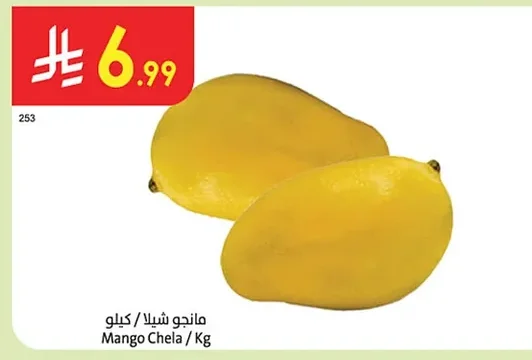 مانجو شيلا