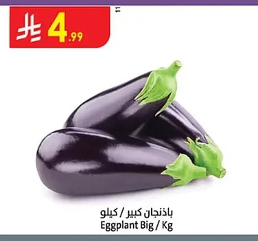 باذنجان كبير