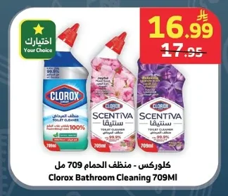 Bathroom Cleaner