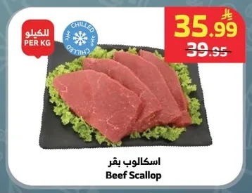 اسكالوب بقر