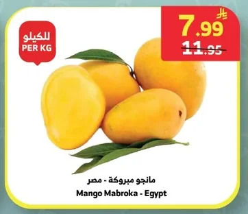 Mango Mabroka - Egypt
