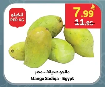 مانجو صديقة