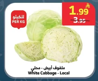 White Cabbage