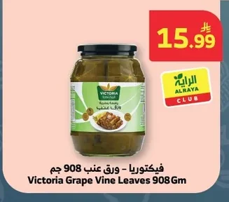 Stuffed Grape Leaves