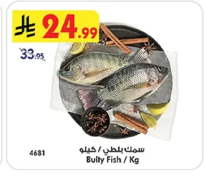 Bully Fish / Kg
