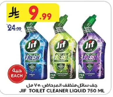 TOILET CLEANER LIQUID