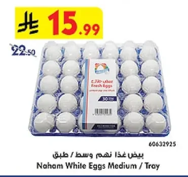 Medium White Eggs