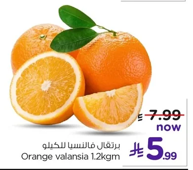 برتقال فالنسيا