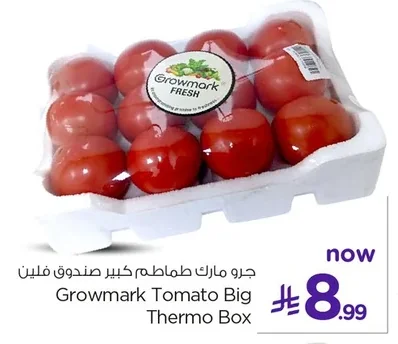 جرو مارك طماطم كبير