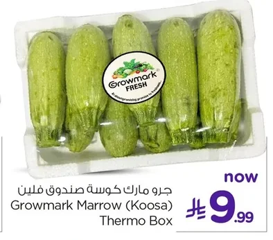 Growmark Zucchini