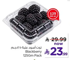 توت أسود