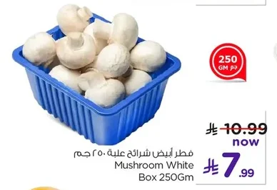 فطر أبيض شرائح