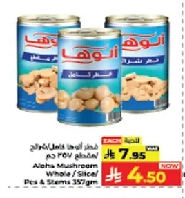 فطر