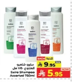 سايـر شامبو