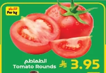 الطماطم