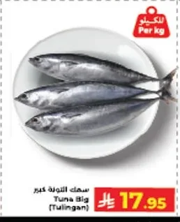 Tuna Big (Tulingan)