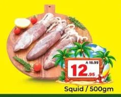 Squid