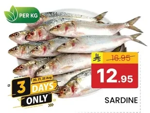 SARDINE