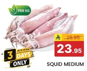 SQUID MEDIUM