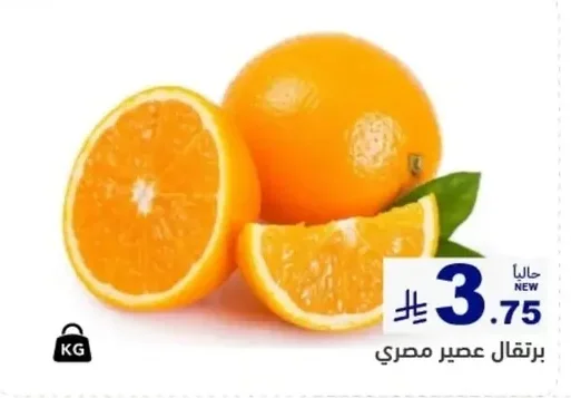 Egyptian Juicing Oranges