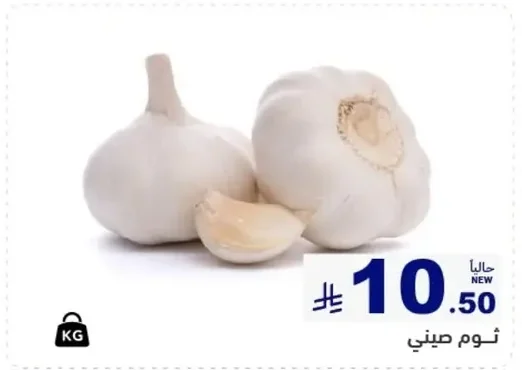 Chinese Garlic