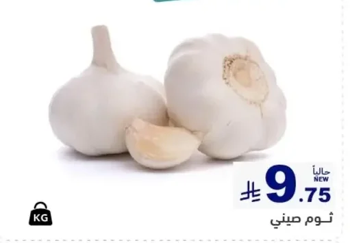 Chinese Garlic