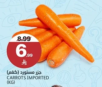 جزر مستورد