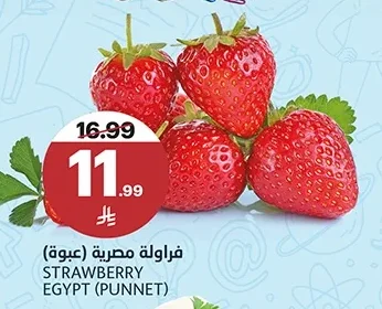 فراولة مصرية (عبوة)