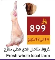 Fresh whole local farm