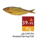 Smoked Herring Fish