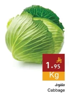 Cabbage