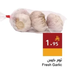 Fresh Garlic