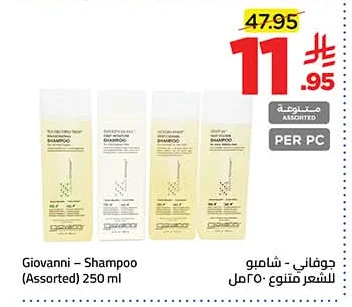 Shampoo (Assorted)