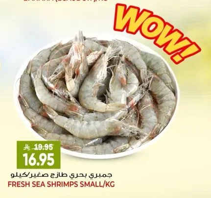 جمبري بحري طازج صغير