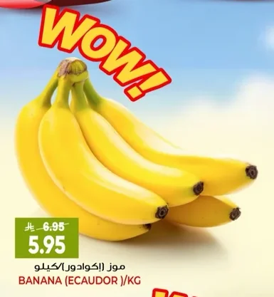 موز (اكوادور)