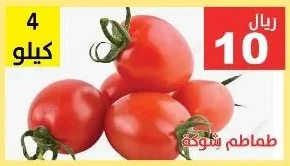 طماطم شوكة