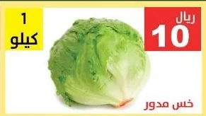 خس مدور